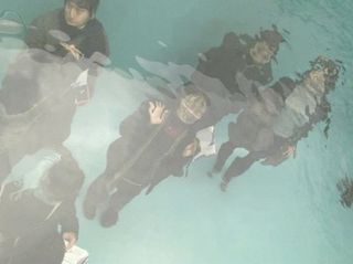 Illustration for article titled Why Are All These Happy Tourists Drowning?